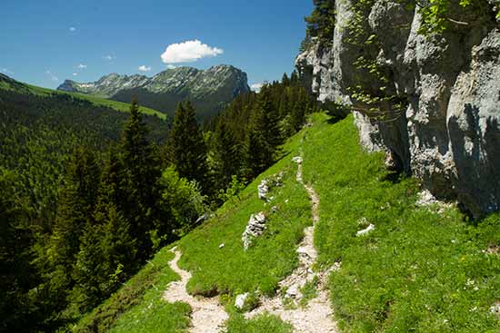 paysage-chartreuse-alpes