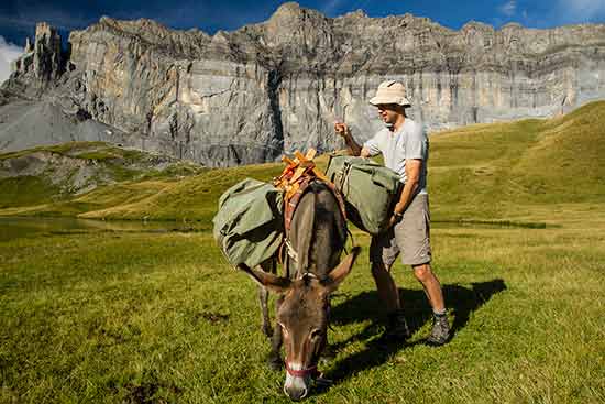 randonnée-avec-ane-alpes