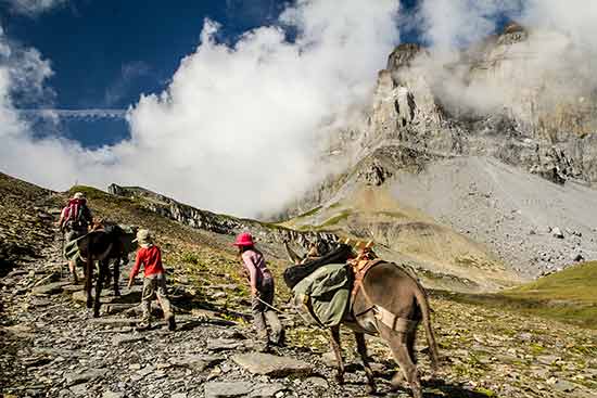 randonnée-avec-un-ane-famille-alpes