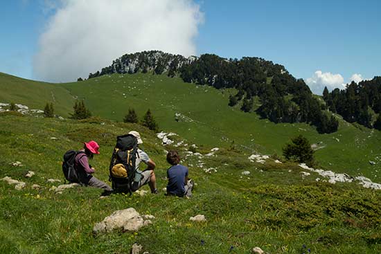 randonnée-chartreuse-avec-enfanst-croix-de-l'alpe