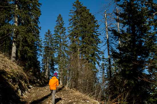 randonneur-enfant-chartreuse