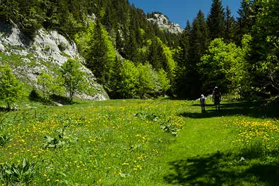 randonneurs-en-famille-chartreuse-alpes