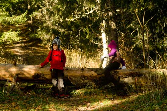 vercors-avec-enfant-en-forêt