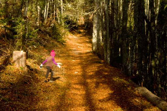 vercors-avec-enfant-forêt