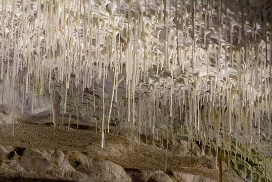 visiter-grottes-postojna