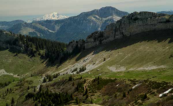 vue-sur-MOnt-blanc-depuis-grande-sure-Chartreuse-alpes