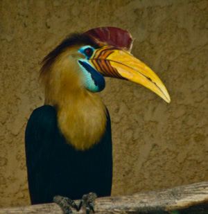 zoo-londe-les-maures-vacances-famille