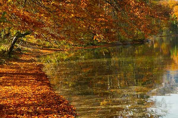 gorges-de-vintgar-environs