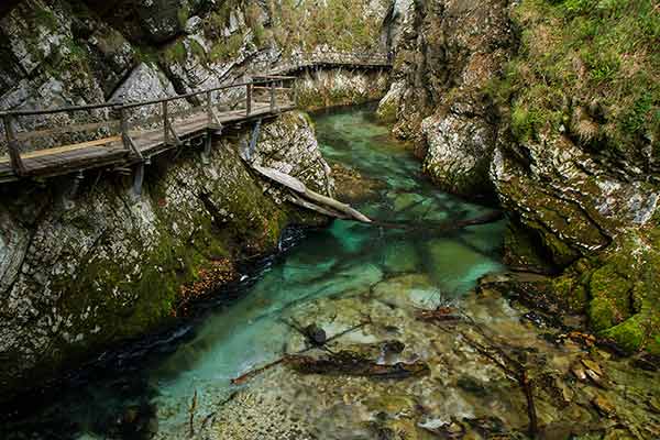 Gorges de Vintgar: une belle visite nature en Slovénie en famille! gorges-vintgar