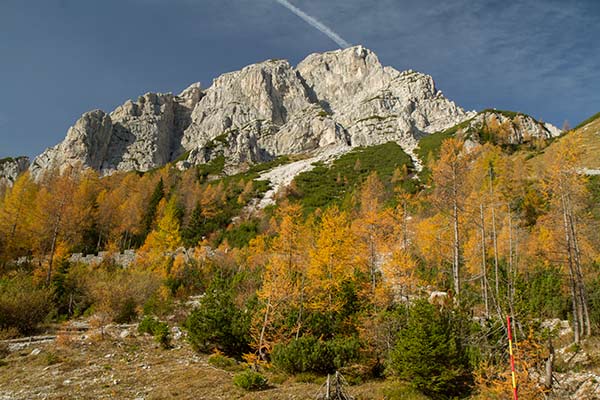 Slemenova Spicae: top randonnée vers ce sommet slovène rando-famille-Slemenova-Spica