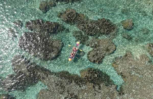 activité-a-faire-en-famille-a-la-reunion