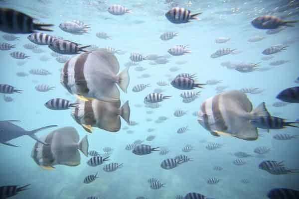 vacances-seychelles-en-famille