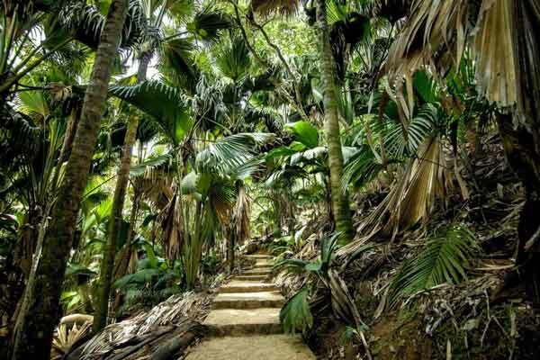 voyage-famille-seychelles