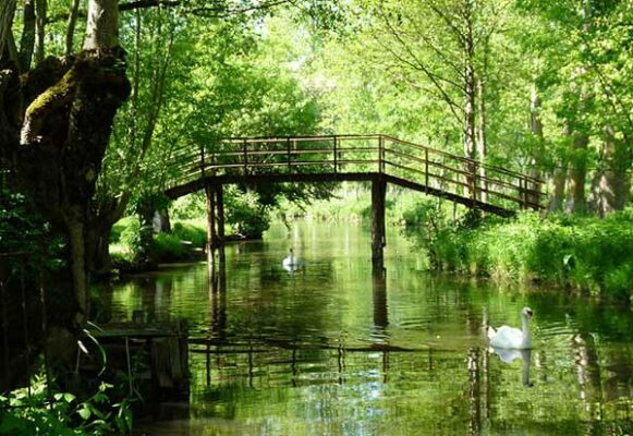 week-end-famille-charente-maritime