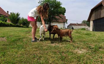 hotel-famille-Slovénie
