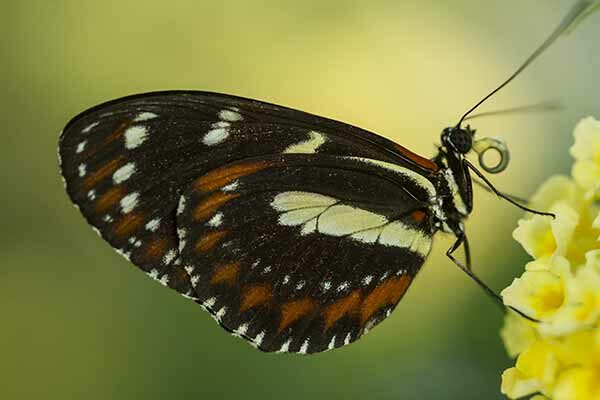road-trip-en-slovénie