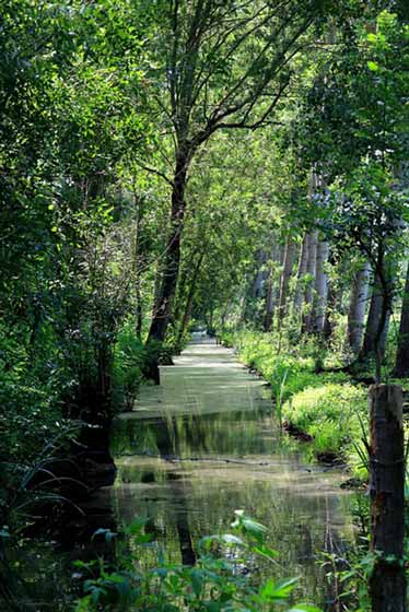 activités-vendée-famille