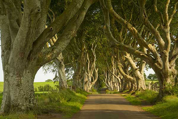 ou partir en irlande en famille