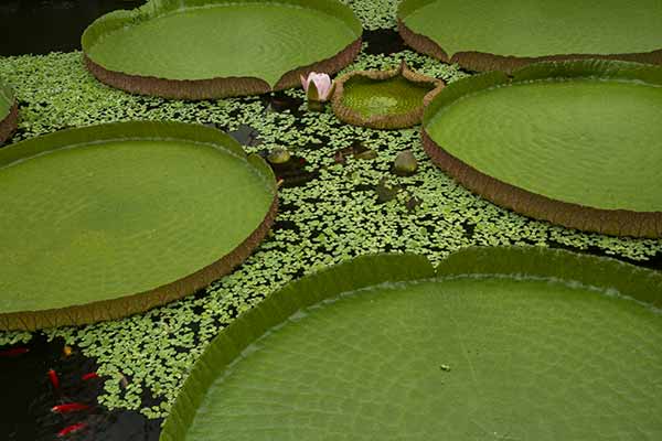 road-trip-voyage-irlande-du-nord
