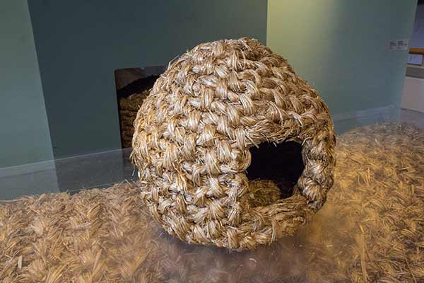 sejour-irlande-en-famille