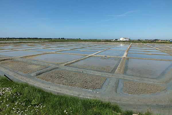 vacances-en-vendée-en-famille