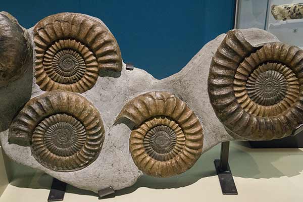 voyage-irlande-famille