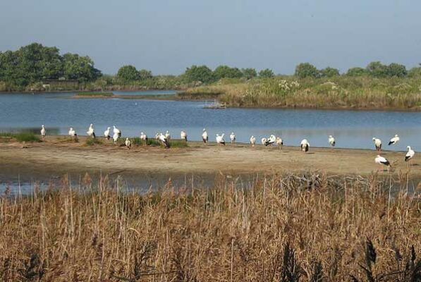 week-end-arcachon-en-famille