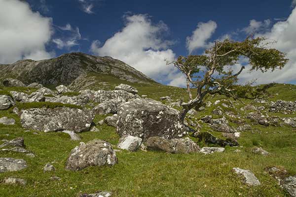 randonnée-twelve-bens