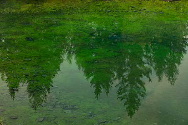 la-vallée-des-5-lacs-canada