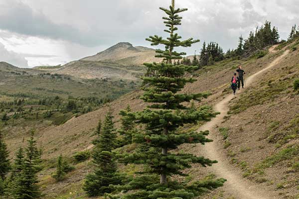 lac-maligne-randonnée
