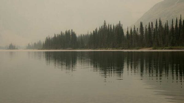 parc-international-de-la-paix-waterton-glacier