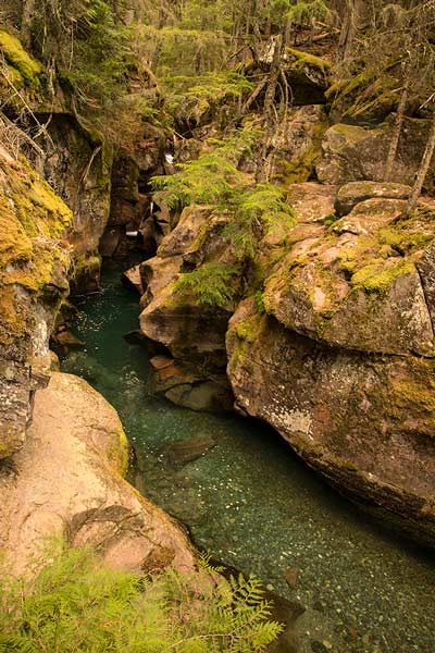 randonnée-glacier-national-park