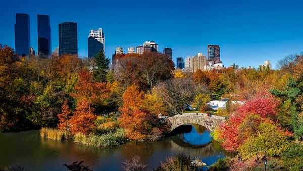 new-york-avec-enfants-en-famille-central-park