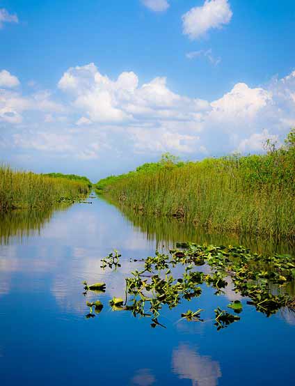 que-faire-en-floride-en-famille