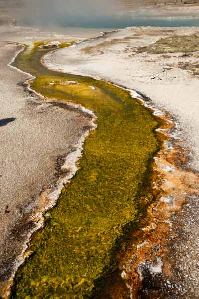 Biscuit-Basin-Midway-Geyser-EU
