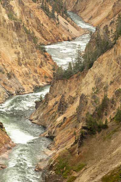 Grand-Canyon-Yellowstone-en-famille-USA