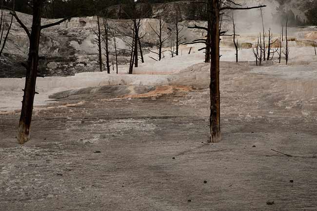 Mammoth-Hot-Springs-parc-Yellowstone-USA
