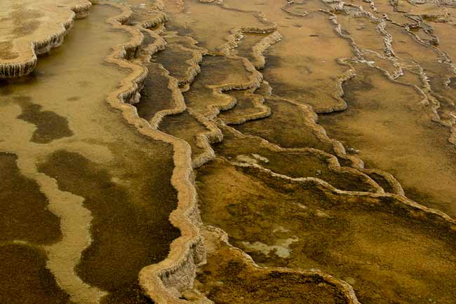 Mammoth-Terraces-parc-Yellowstone-Etats-Unis