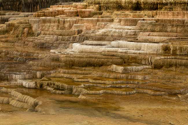 Yellowstone-avec-enfants