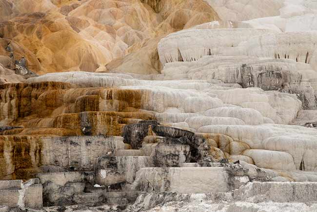 parc-Yellowstone-en-famille-USA