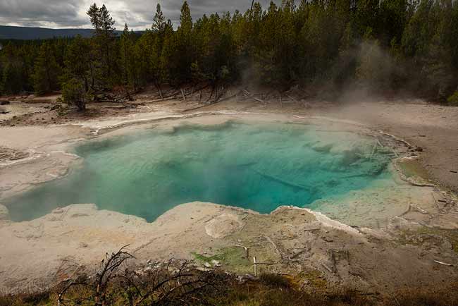 visiter-Yellowstone-en-familleUSA