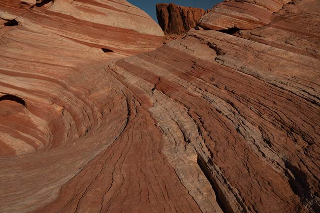 activite-famille-las-vegas