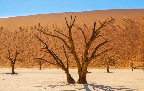 desert-de-namibie-afrique