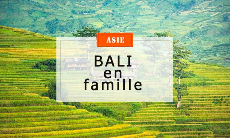 bali avec enfants rizieres