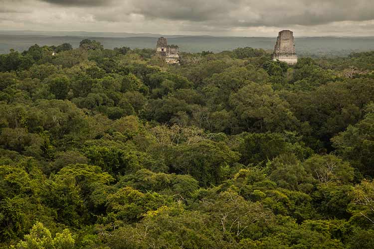 Guatemala-en-famille-Tikal