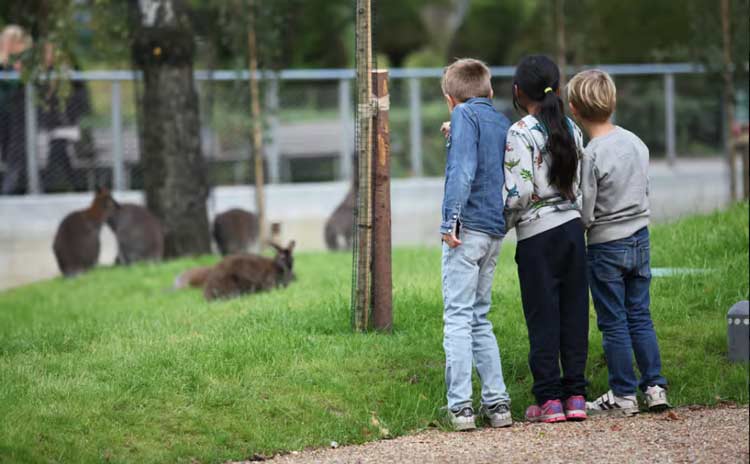 zoo-Copenhague-avec-enfants