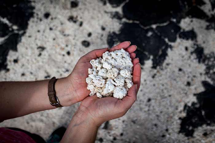 voyage-famille-fuerteventura